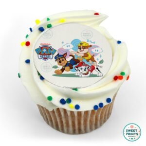 8905 all paws in paw patrol original