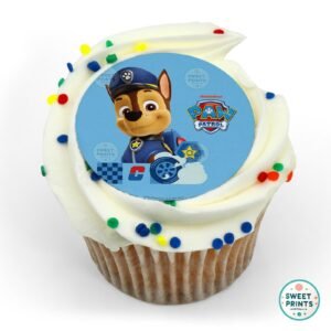 8907 chase is on the case paw patrol original