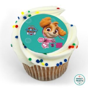 8908 skyes the limit paw patrol original