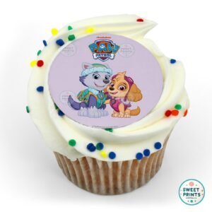 8921 everest and liberty paw patrol original