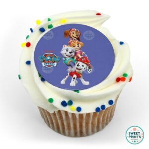 8925 pup pals paw patrol original