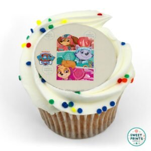 8926 too cool paw patrol original