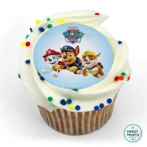 8927 teamwork makes the dreamwork paw patrol original