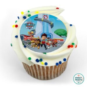 8929 all paws on deck paw patrol original