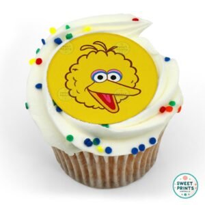 big bird in colourful simplicity o