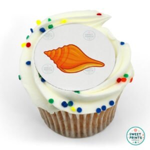 conch shell in warm tones o