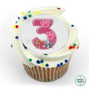 paw patrol skye pn o