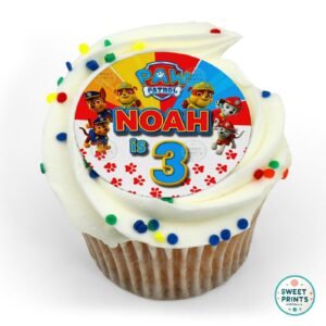 pawpatrol custom 1505 o