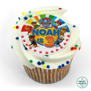 pawpatrol custom 1605 o