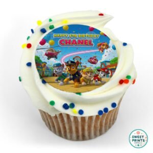 pawpatrol custom 030625 o