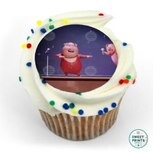 sing movie custom 33 o