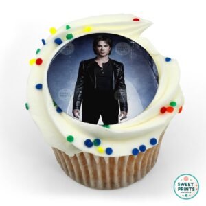 the vampire diaries 13