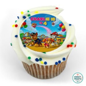 paw patrol custom 30jun25