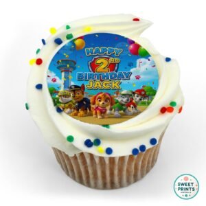 pawpatrol custom 09062025 o