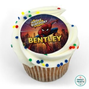 spiderman custom 120325 o