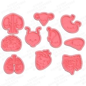 Kawaii Organs Cookie Cutter Set Of 10