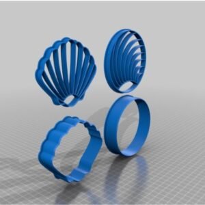 Seashell Shell Conchiglia