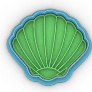 Seashell Shell Conchiglia 2