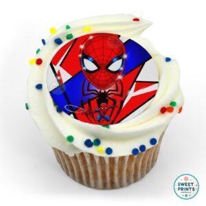 superheros spider man 25 16