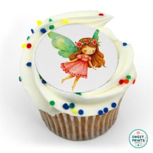 fairy fairies 1501 6 o