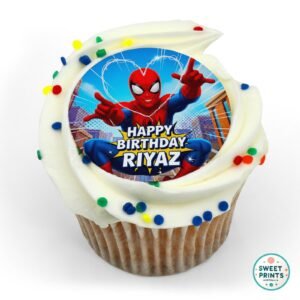 superheros custom spiderman 240126 2 o