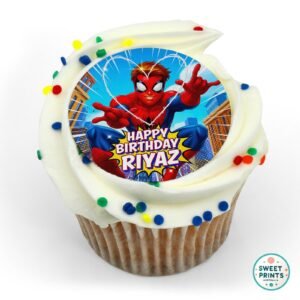 superheros custom spiderman 240126 o