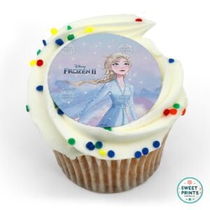 3073 follow your dreams original frozen original
