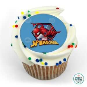 5125 defender of new york spiderman o