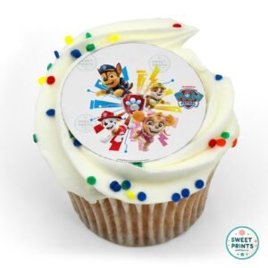 8900 ready for action paw patrol original