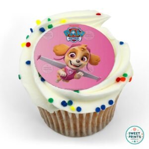 8917 born to fly paw patrol original