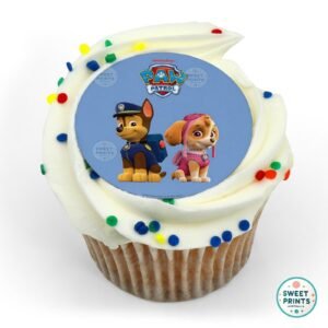 8919 chase and skye paw patrol original