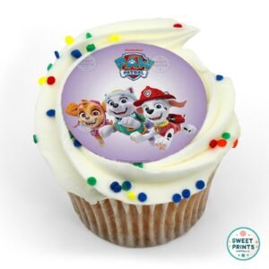 8928 adventure bay needs you paw patrol original