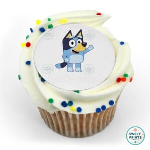 bluey & bingo (disney) 36 o