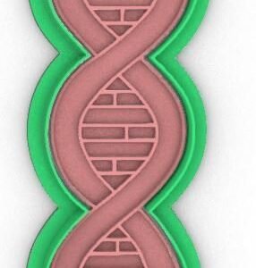 DNA