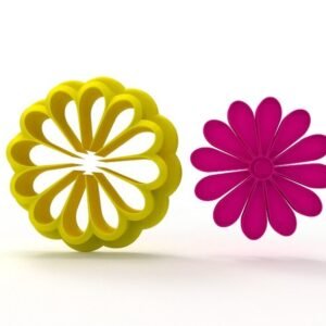 Daisy Flower