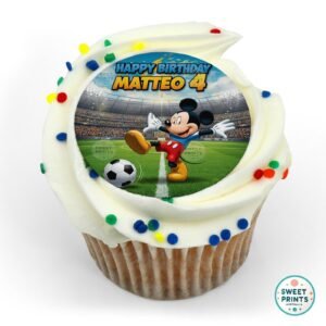 mickey mouse custom ma 19