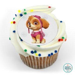 paw patrol skye png 2 o