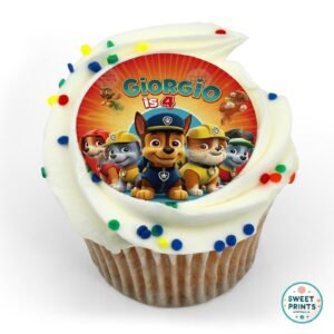 paw patrol custom 10122024 o
