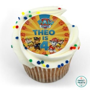 paw patrol custom o