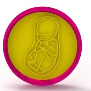 Pregnancy Fetus