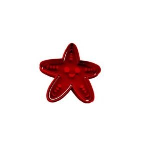 Starfish Seastar