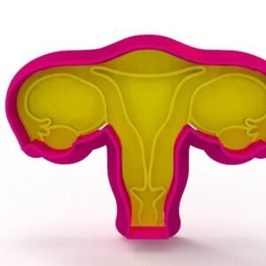 Uterus