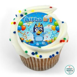 bluey custom 23aug2025 o