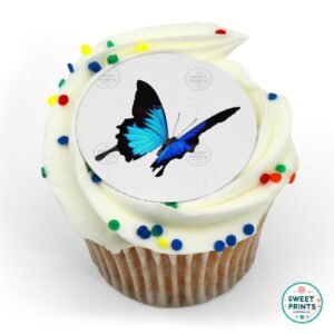futterfly 4 o