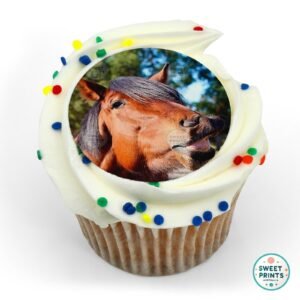 horse o