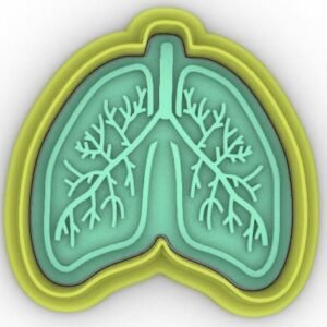 Lungs