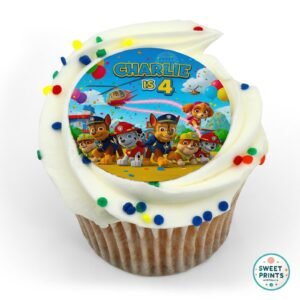 paw patrol custom 2 30jun25