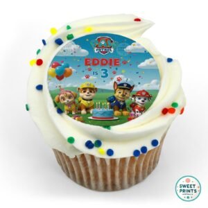 paw patrol custom 30mar o