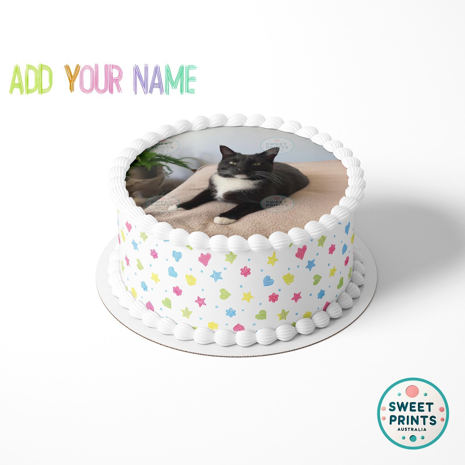 pets custom 0425 1 - Image 2