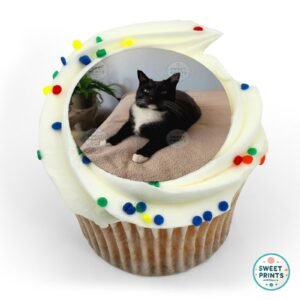 pets custom 0425 1